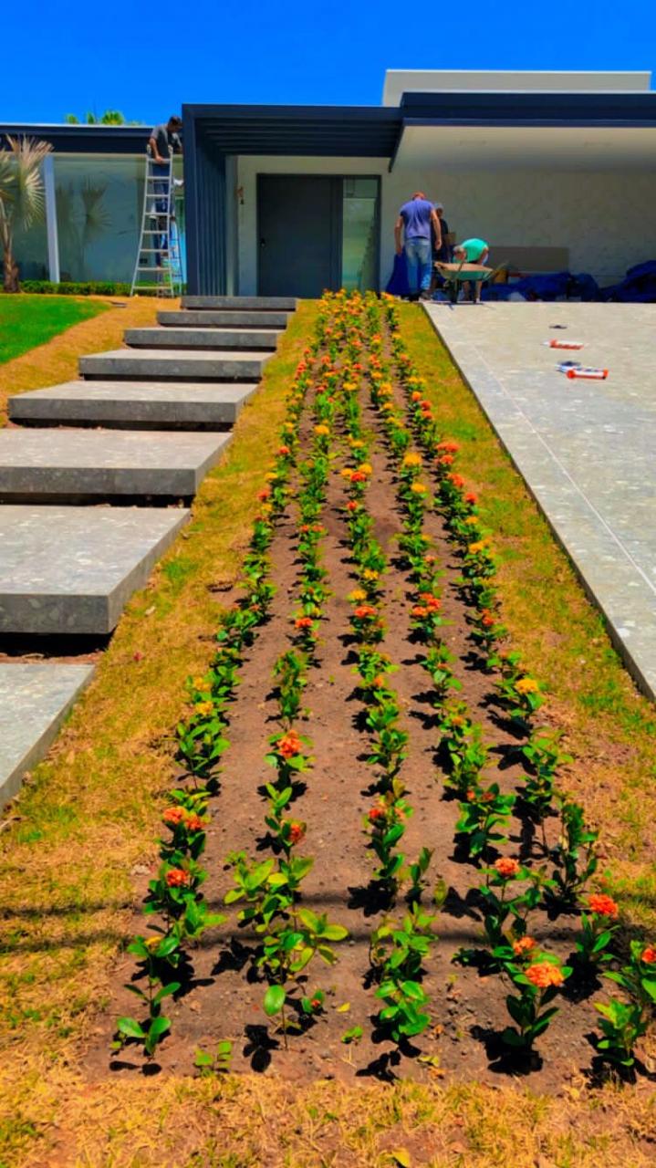Plantio de Flores e Gramado